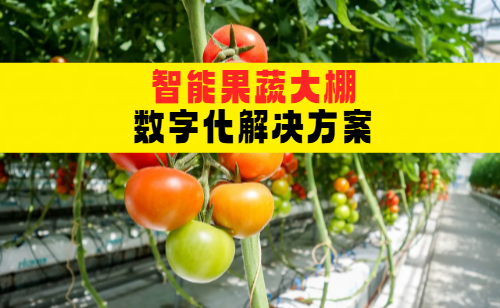 智能果蔬大棚数字化解决方案：RFID技术引领农业创新